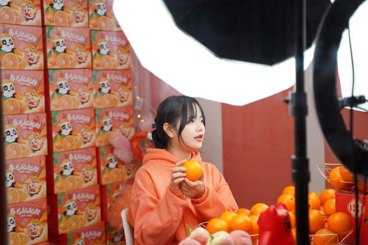 優(yōu)秀學(xué)子|京東實(shí)習(xí)再得佳績,新華學(xué)習(xí)更創(chuàng)新高